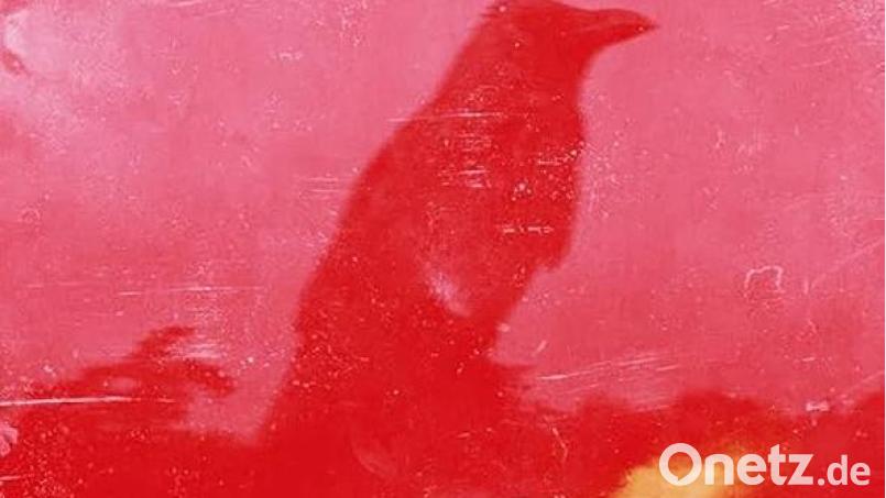 Giant Crow – In The Cut (Kontor) Bild: kontor
