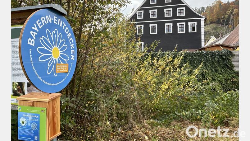 Die 52. Stempelstation der &quot;Bayern-Entdecker&quot; ist im Naturpark Hirschwald zu finden - gleich hinter dem Hohenburger Rathaus. Bild: Isabel Lautenschlager