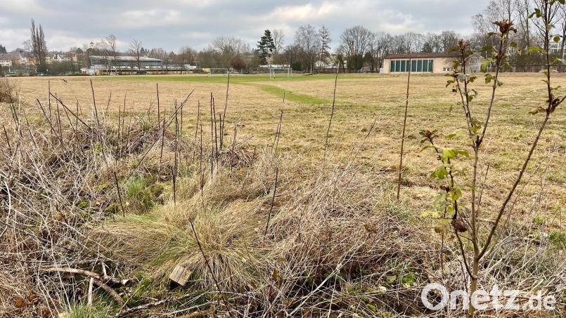 Stadtnahes Wohnen in Ein-, Reihen- und Mehrfamilienhäusern soll es bald auf dem ehemaligen SV-Sportgelände in der Stockerhut geben. Bild: Gabi Schönberger