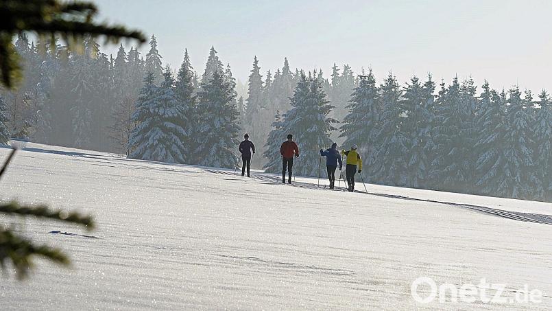 Leichte bis mittelschwere Loipen sorgen im Steinwald bei vielen Skilangläufern für Begeisterung. Archivbild: bsc