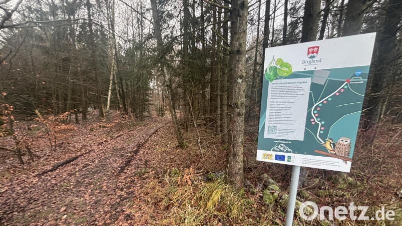 An der Kreisstraße AS 3 bei Schwenderöd beginnt der Walderlebnispfad. Er hat mehr gekostet als gedacht. Bild: ge