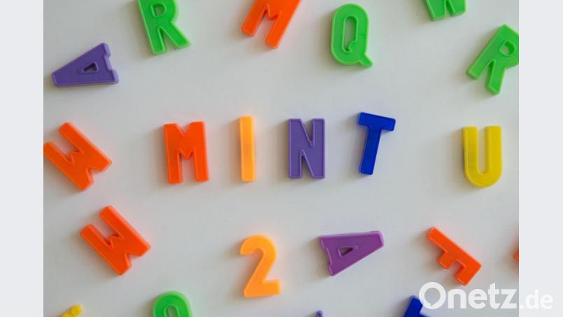 Die Abkürzung &quot;Mint&quot; steht für die Fächer Mathematik, Informatik, Naturwissenschaften und Technik. Symbolbild: Sebastian Kahnert/dpa