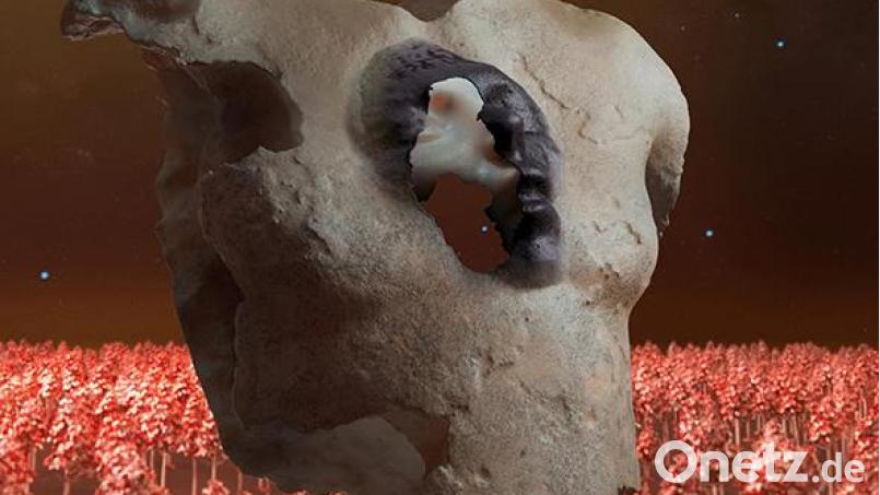 Soap &amp; Skin – Torso (PIAS) Bild: pias