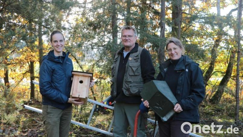 Eva Sonnleitner, Rolf Dorn und Silke Lohr (von links) sind im Wald unterwegs, um Nistkästen anzubringen. Bild: Eva Sonnleitner/exb