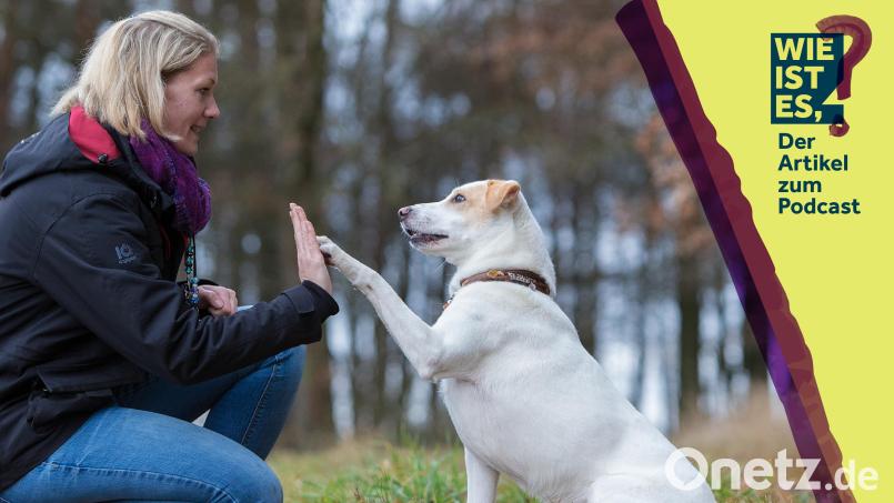 Susanne Forster hilft den Menschen dabei, ihre Hunde besser zu verstehen. Bildmontage: Fotografie Andreas Sellmer/Jakob Graf