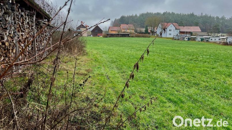 Ein Bauvorhaben der besonderen Art: Renate Schneider-Kraus will auf ihrer Wiese nahe des Rußweihers in Eschenbach ein Tiny-House-Dorf aufbauen. Bild: Gabi Schönberger