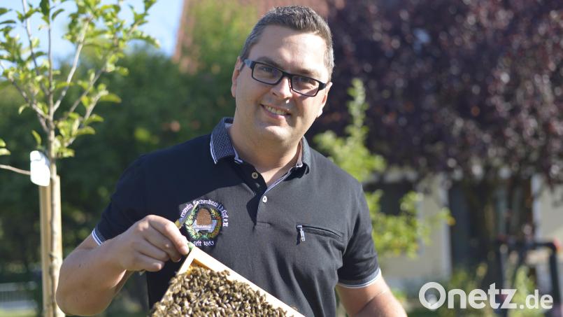 Andreas Ackermann aus Pressath widmet sich nach einem langen Arbeitstag am liebsten der Familie - und seinen Bienen. Bild: Ackermann