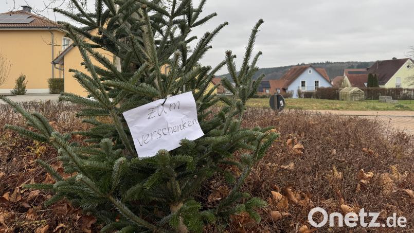 &quot;Zum Verschenken&quot; verkündete die Botschaft am Weihnachtsbaum. Jemand hatte ihn am Wochenende in einem Kreisverkehr in Ebermannsdorf abgestellt. Bild: Heike Unger
