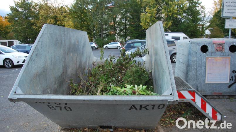 Die Grüngut-Container in Amberg bleiben jetzt das ganze Jahr an ihrem Standort. Auch die Weihnachtsbäume dürfen darin entsorgt werden. Archivbild: gsp