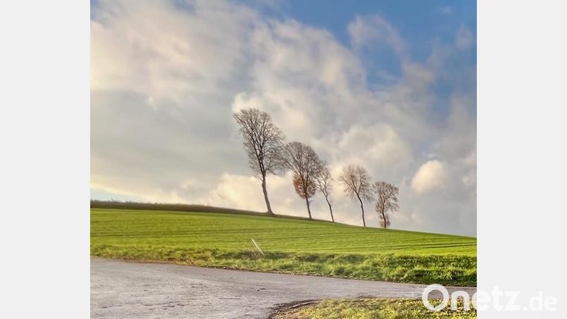 Als milden, aber feuchten Sonne- und Wolken-Mix beschreibt David Frahnow nach Auswertung seiner Aufzeichnungen das Wetter im vergangenen Jahr. Bild: Gabi Schönberger