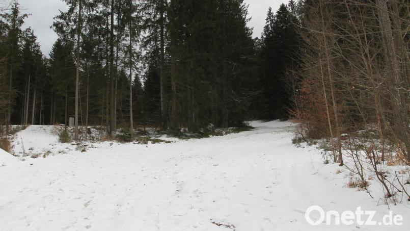 Im Bereich Wurmstein könnte ein Mountainbike-Trail entstehen. Bild: pi