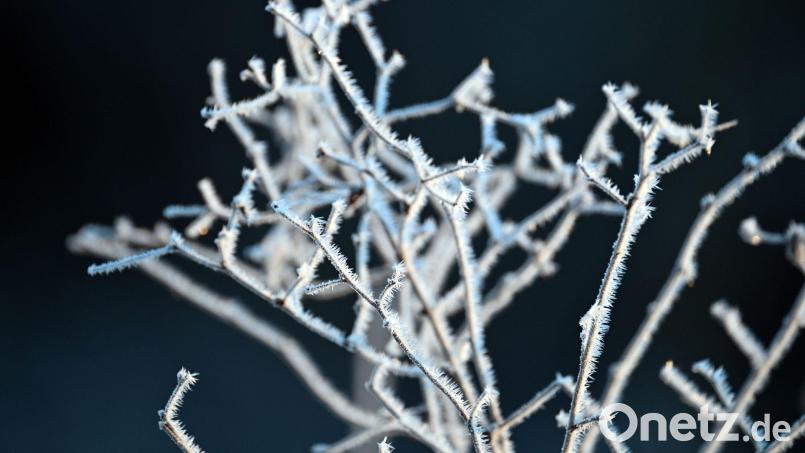 Minusgrade sind auch in der kommenden Nacht vielerorts zu erwarten. Bild: Federico Gambarini/dpa