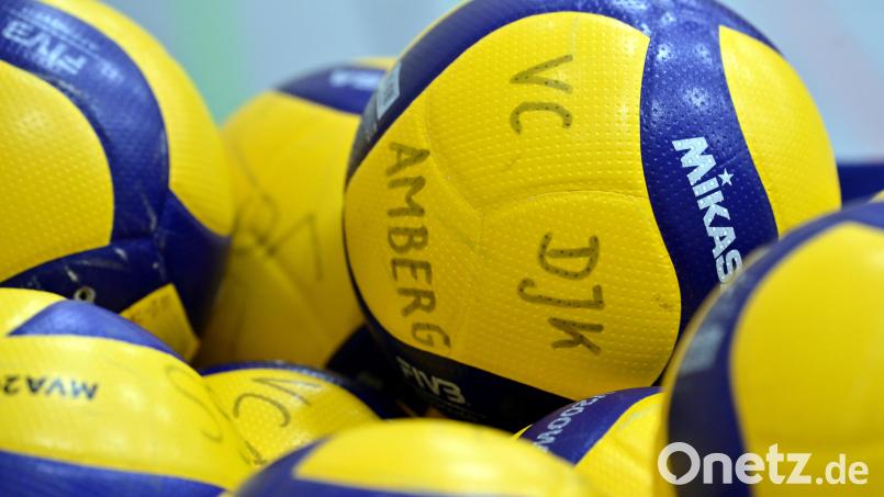 Die jungen Volleyballer des VC/DJK Amberg waren bei den Oberpfalzmeisterschaften sehr erfolgreich. Bild: Hubert Ziegler