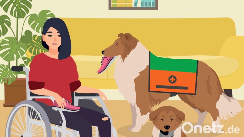 Ein Mobilitätsassistenzhund sorgt zum Beispiel im Alltag dafür, dass das Schuhe anziehen einfacher wird. Die Herausforderung dabei - jeweils ein zusammenpassendes Paar Schuhe zu apportieren. Grafik: Marina Gube