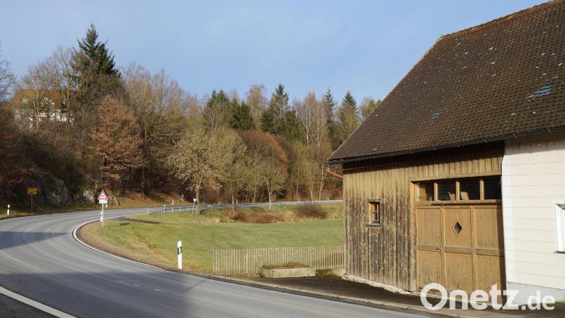 Auf der Straße von Bach nach Dieterskirchen befindet sich auf der Anhöhe hinter den Sträuchern das Areal für die &quot;Freiflächenphotovoltaikanlage Kieselmühle&quot;. Bild: wel