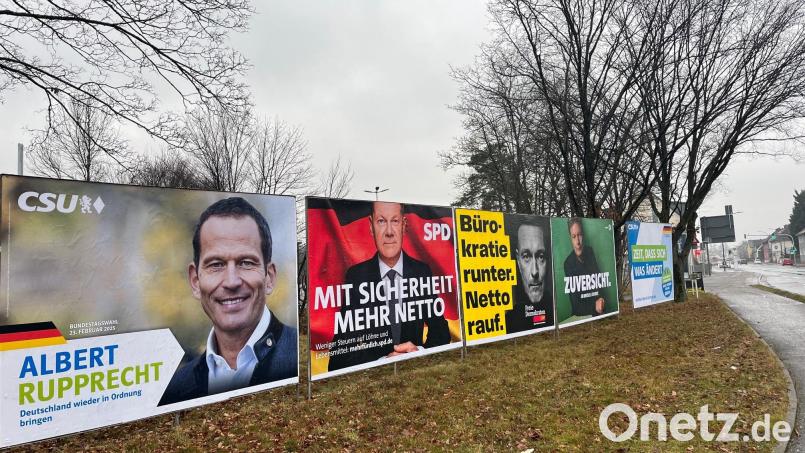 Die vielen Wahlplakate wie hier in Weiden machen unübersehbar, dass der Bundestagswahlkampf läuft. Bild: Gabi Schönberger