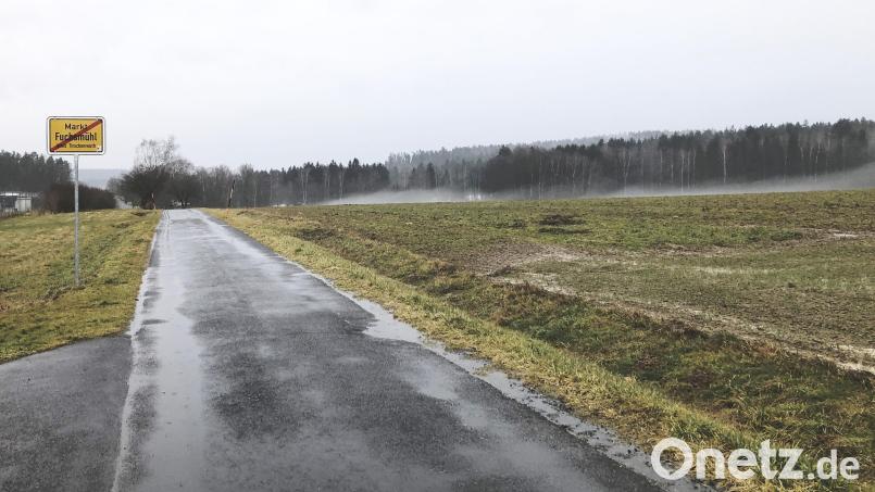 In diesem Bereich soll das Sondergebiet &quot;Photovoltaikanlage Sonnenenergie Fuchsmühl 3&quot; entstehen. Bild: wro