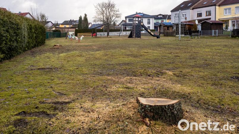 Etwas trostloser wirkt der Hans-Müller-Spielplatz am Naabberg in Erbendorf nun, da die vier Eichen verschwunden sind. Bild: lum