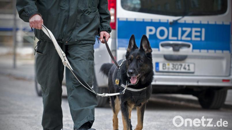 Die Polizei suchte in Bad Kötzting unter anderem mit Hunden nach einem vermissten Mädchen. Symbolbild: Jan-Philipp Strobel/dpa