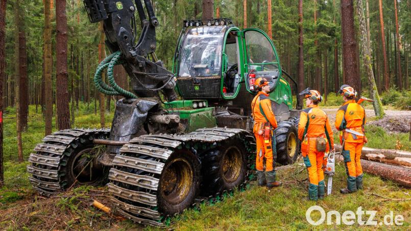 Forstwirte der Bayerischen Staatsforsten besprechen sich mit dem Harvesterfahrer bei der Holzernte im Stadtwald Marktredwitz. Bild: Martin Hertel/Forstbetrieb Fichtelberg/exb