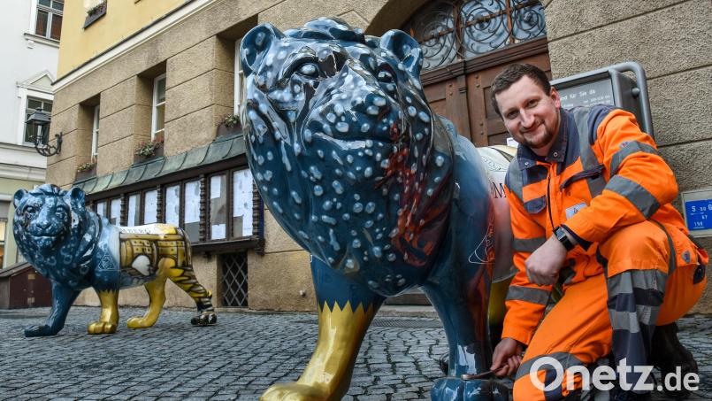Betriebshofmitarbeiter Andreas Pirzer zieht die letzte Schraube an. Die beliebten Löwen stehen ab sofort in einem neuen Gewand wieder vor dem Rathaus. Bild: Stephan Huber
