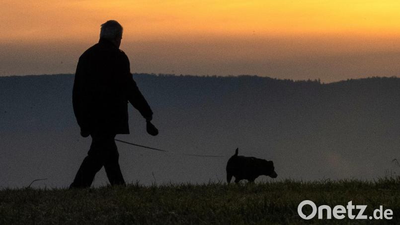 So friedlich blieb es nicht beim Gassi-Gehen: Zwei Männer gerieten sich in die Haare. Einer bekam Schläge auf den Kopf. Symbolbild: Sebastian Gollnow