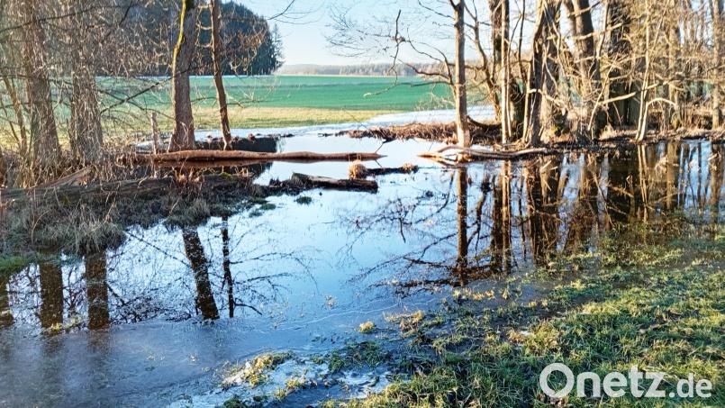 Zwischen Neumühle und Masch hat der Biber seinen Damm gebaut. Das aufgestaute Wasser fließt nun über die angrenzenden Wiesen. Bild: fpoz