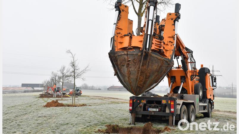 Die Rundspatenmaschine im Einsatz. Zuerst wird die Pflanzgrube ausgehoben, dann der Baum eingesetzt. Bild: Petra Hartl
