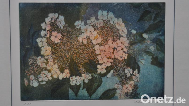 Hortensie - Radierung/Aquatinta von Künstler Otto Dünne aus Weiden. Archivbild: dob