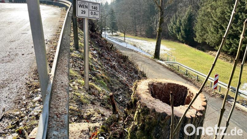 Drei größere Bäume und mehrere Büsche wurden Ende Januar entlang der Kreisstraße 29 bei Mitterhöll gerodet. Dabei handelt es sich um Vorarbeiten zur geplanten Hangabsicherung an dieser Stelle. Bild: Gabi Schönberger