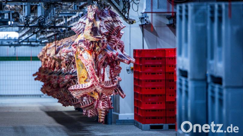 Von den rund 1600 im Freistaat noch bestehenden Schlachtstätten mit EU-Zulassung plant rund ein Viertel die Betriebsschließung. Symbolbild: Jens Büttner/dpa