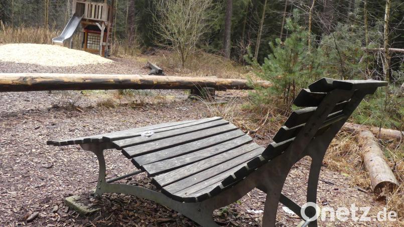 Für den Walderlebnispfad erstellten die &quot;Handwerker&quot; der Waldjugend zwei gerne genutzte Himmelsliegen. Über den Bürgerhaushalt erhält die Rasenfläche beim Hexenhäusl ebenfalls zwei Liegen. Bild: rn