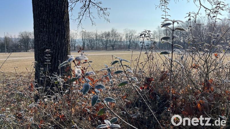 Stehen hier die Interessenten Schlange? Das TB-Gelände am Weidener Hammerweg liegt acht Jahre nach dem Kauf durch die Stadt brach. Bild: Gabi Schönberger