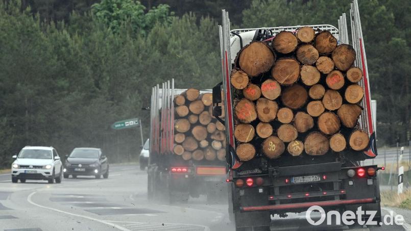 Die Polizei hat mehrere überladene Holztransporter auf der A72 erwischt. Symbolbild: Patrick Pleul/dpa