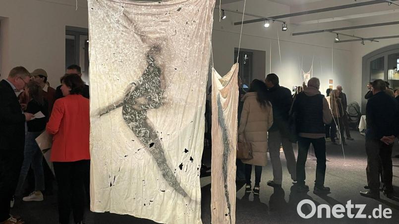 &quot;How to get out?&quot; fragt Kim Nespor bei dieser Installation aus Latex und Wollschnur, die die Fragilität des Gezeigten widerspiegelt. Denn, so die Künstlerin: &quot;Ein Bild ist nur so stark wie ihr Träger&quot;. Bild: Susanne Schwab