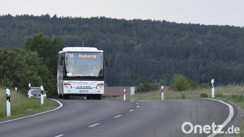 Wegen Baumfällungen wird in Sulzbach-Rosenberg eine Bushaltestelle nicht angefahren. Symbolbild: Petra Hartl
