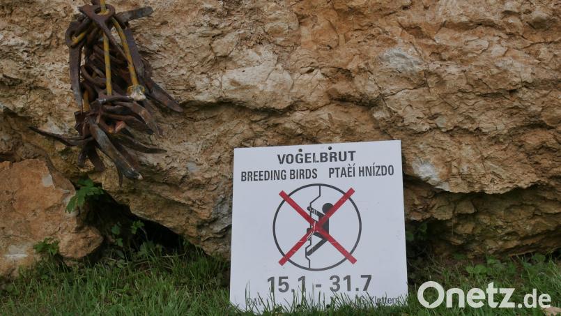 Wenn dieses Schild an einer Kletterwand steht, ist der Einstieg verboten, um brütende Vögel nicht zu stören. Bild: W. Wärthl/exb