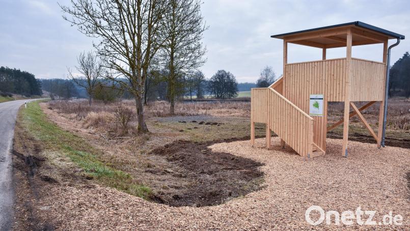 Zwischen Theuern und Wolfsbach, bei den Schönungsbecken des Klärwerks, können Naturfreunde jetzt von einer überdachten Holz-Plattform aus Vögel und andere Tiere beobachten. Bild: Stephan Huber