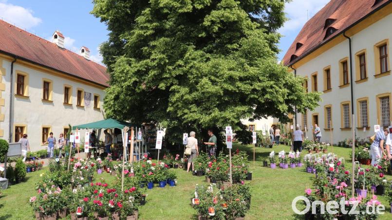 Der Innenhof des barocken Fischhofs in Tirschenreuth bietet seit Jahren die perfekte Kulisse für besondere Events wie den Gartentagen (im Bild die Veranstaltung 2022). Heuer sollen im Innenhof erstmals auch Schoppen- und Serenaden-Abende stattfinden. Bild: Stadt Tirschenreuth/Mirko Streich/exb