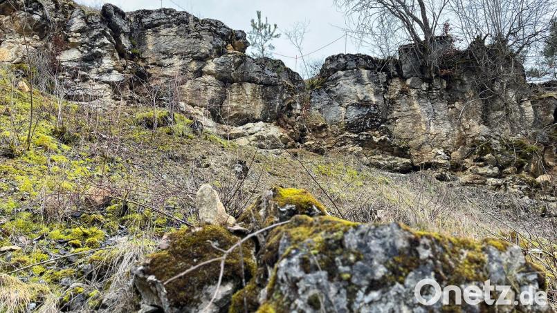 Ein Rückzugsgebiet für viele vom Aussterben bedrohte Tier- und Pflanzenarten: Der Steinbruch Kerschgraben. Bild: Gabi Schönberger