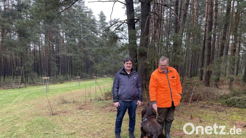 Landwirt Norbert Graf (rechts) und Wildlebensraumberater Matthias Feierler freuen sich über die ökologische Gestaltung der Waldwiese. Bild: Marianne Badura