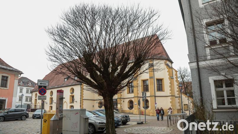 Die Robinie am Schrannenplatz wird gefällt: Der Baum ist nicht mehr fit, er könnte damit Passanten gefährden. Bild: Wolfgang Steinbacher