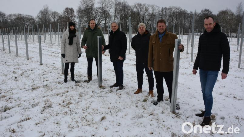 Die ersten Pfosten wurden bereits in den Boden gerammt, bis Ende April soll hier Strom erzeugt und ins Netz eingespeist werden. BVon links Christine Melischko, Maximilian Burger, Landrat Roland Grillmeier, Stefan Engstler, Bürgermeister Stefan Grillmeier und Rainer Hecht (Kewog). Bild: jr