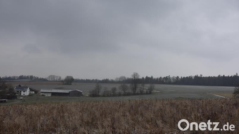 Rechts oben längs am Waldrand ist der Solarpark Roschau in Planung. Links das dem Park nächste Roschauer Anwesen. Bild: fz