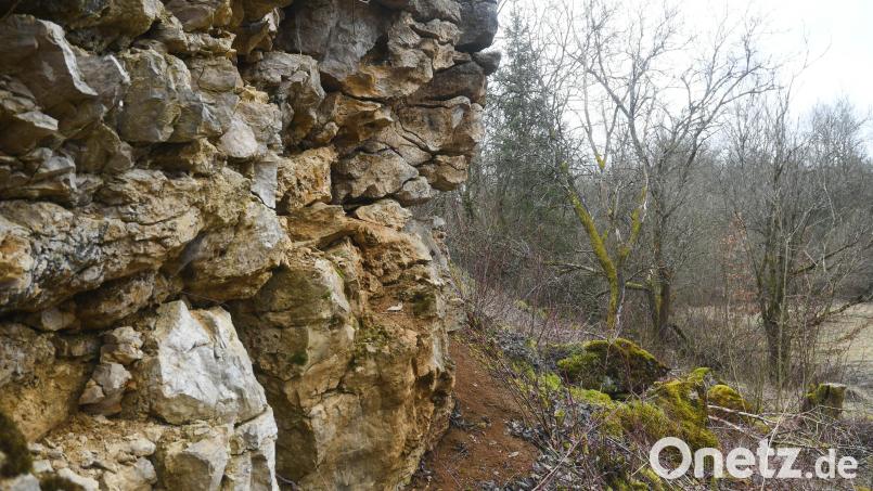 Seit 10 Jahren kümmert sich der Bund Naturschutz Kirchenthumbach um dein Steinbruch Kerschgraben. Bild: Gabi Schönberger