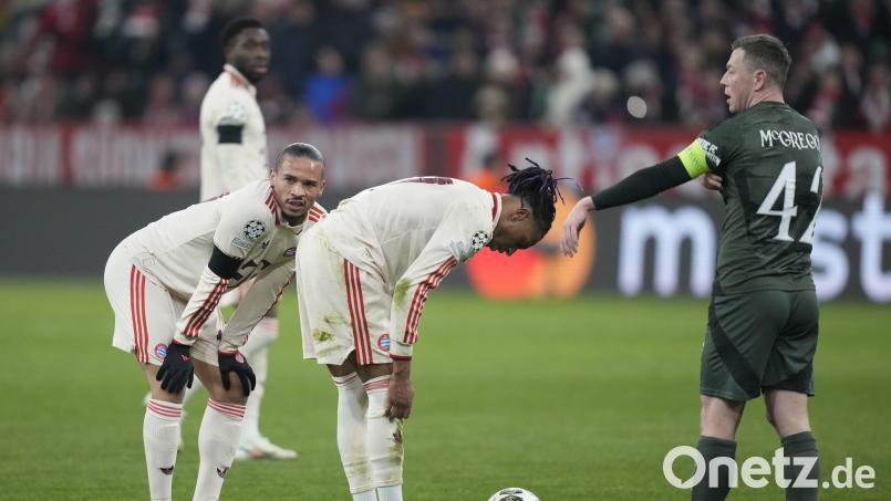 Mühsam war&#039;s gegen Celtic: Bayerns Leroy Sané links) und Michael Olise und müssen mal durchschnaufen. In letzter Minute gelang das 1:1 Bild: Matthias Schrader/dpa