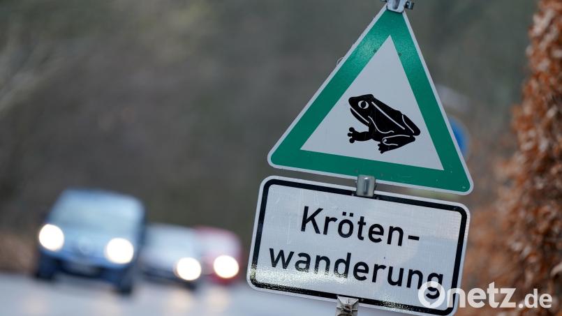 In den nächsten Tagen fangen die Amphibien an, zu ihren angestammten Laichgewässern zu wandern. Symbolbild: Marcus Brandt/dpa