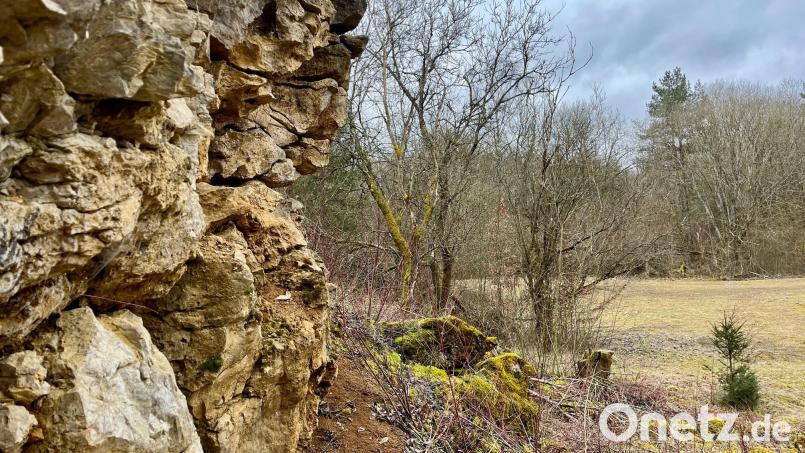 Eine Ortsgruppe des Bund Naturschutz kümmert sich seit rund 10 Jahren mit Geld aus dem bayerischen Haushalt um die Pflege des Steinbruchs Kerschgraben. Bild: Gabi Schönberger