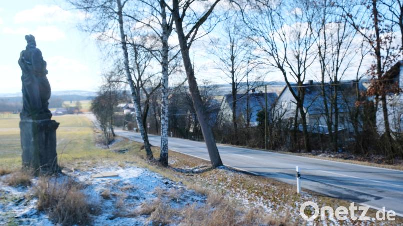 Zum Kernstück der Sanierungsplanung gehört das Abrücken der S 2168 in Höhe des Siedlungsbereiches in Richtung Osten. Auf der dann alten Straßentrasse planen die Straßenbauer den Geh- und Radweg. Gleichzeitig plädierte Baudirektor Gerhard Kederer für den Erhalt der Baumallee. Bild: do