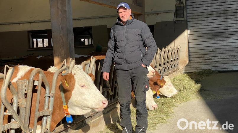Johannes Hösl kennt seine Kühe und ihre Vorlieben: Er setzt auf artgerechte Haltung und die richtige Fütterung. Gesunde Kühe sichern die wirtschaftliche Existenz. Bild: Völkl